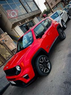 جيب رينيجيد